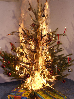 Christbaum Rechte:dpa